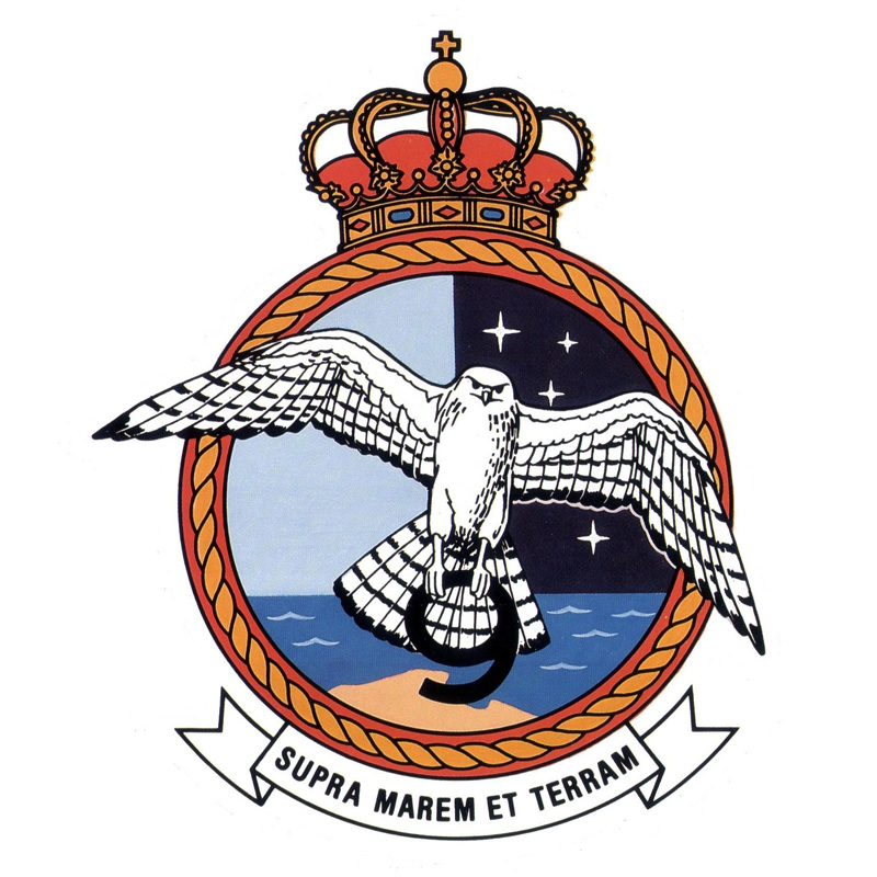 Escudo de la 9ª Escuadrilla de aeronaves
