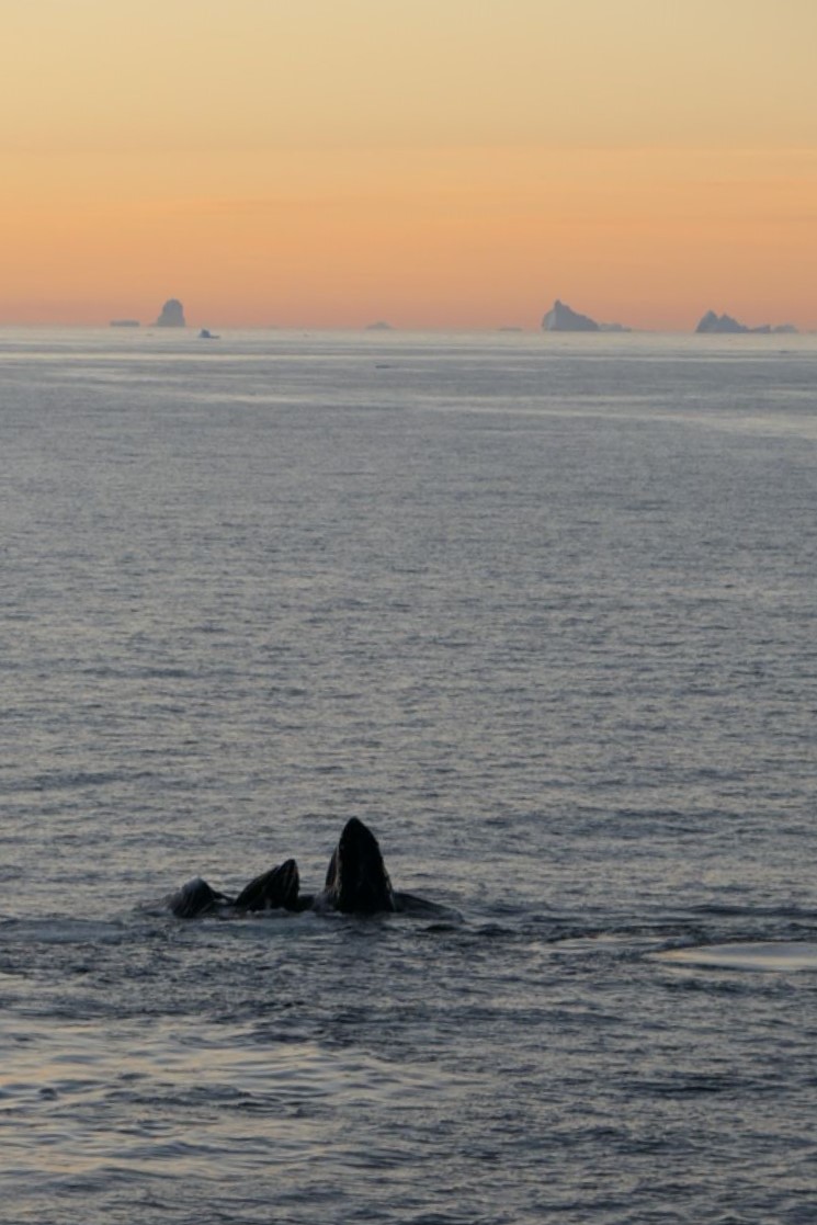 Sr. Comandante acompañado de Neptuno