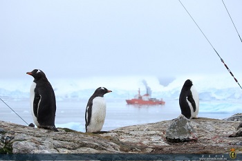 XXIV Campaña Antártica.- BIO 'Hespérides' (A-33)