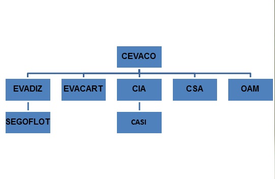 Organización CEVACO