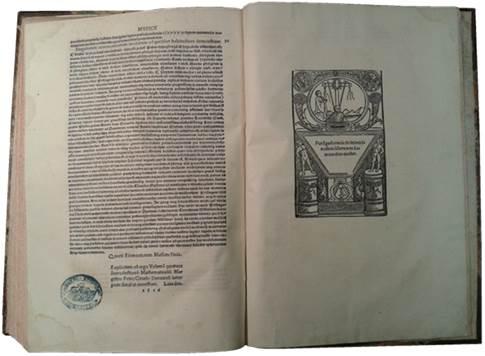 Vista de las páginas.