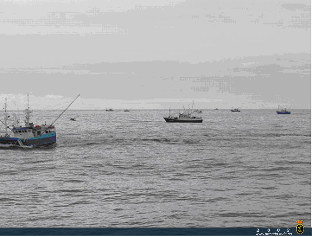 Pesqueros españoles faenando en la campaña del bonito