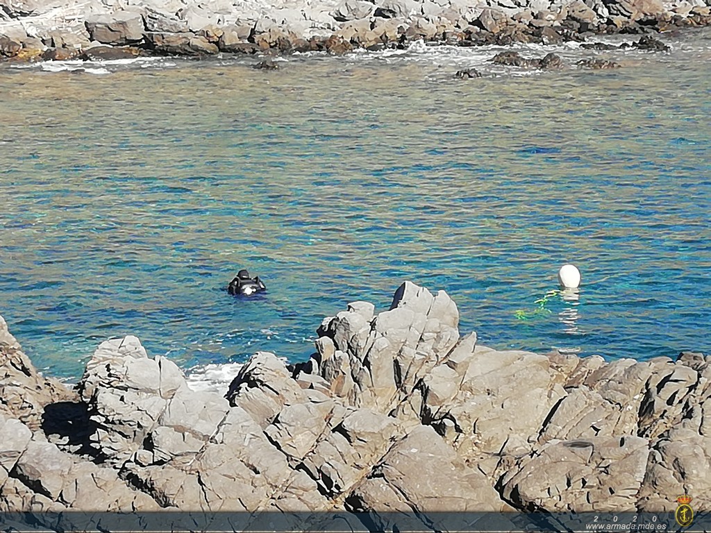 Buceadores de la Armada neutralizan una granada de mortero en Menorca. 