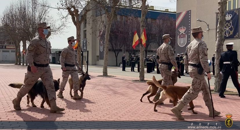 La Fuerza de Infantería de Marina conmemora el 484º Aniversario de su creación-Madrid