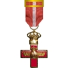 Cruz del Mérito Aeronáutico con distintivo rojo