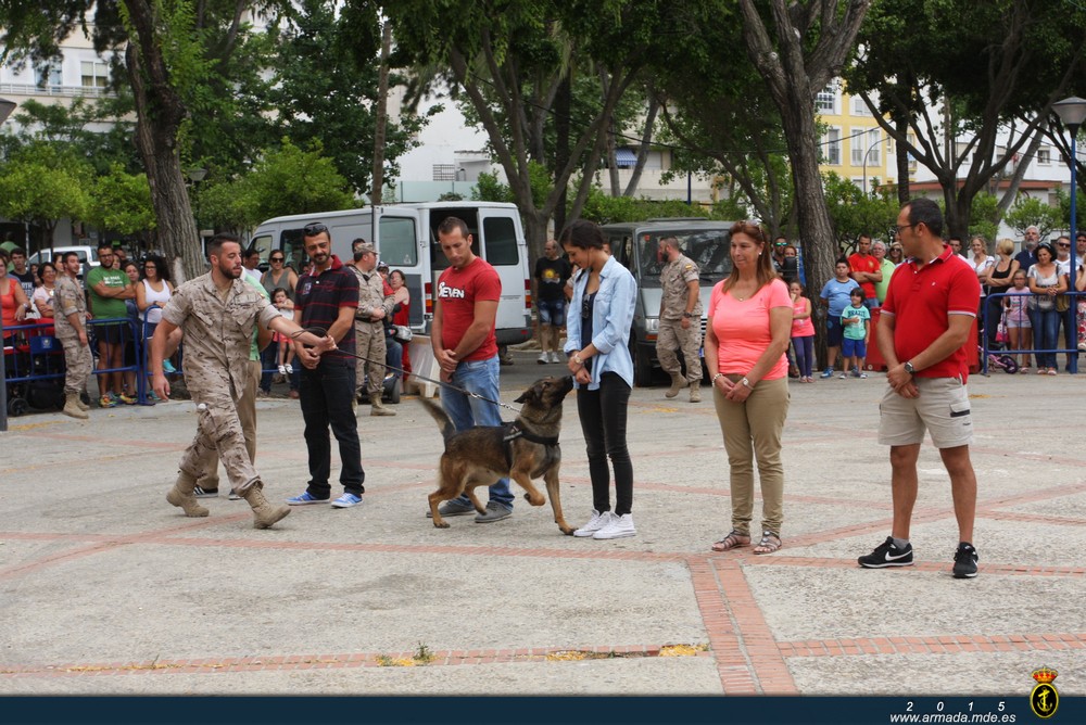 Actos de celebración del día de las Fuerzas Armadas en San Fernando